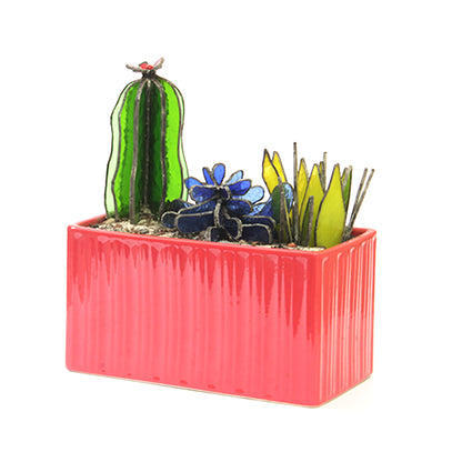 PLANTAS // SUCULENTAS